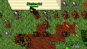 Zielecki on screen