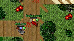 Sola Leon on screen
