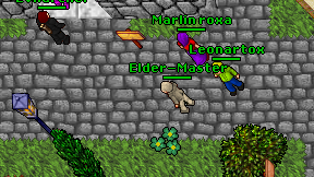 Elder-Master on screen