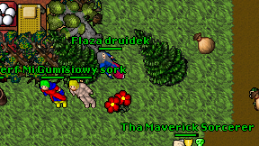 Flaza druidek on screen