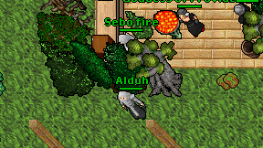 Alduh on screen