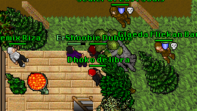 Dhoko de libra on screen