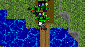 Reinnor on screen