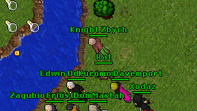 Knight Zbych on screen