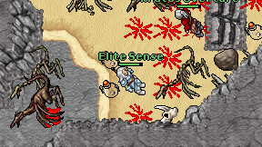 Elite Sense on screen