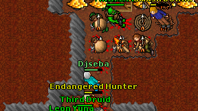Djseba on screen