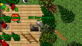Elf Berserker on screen
