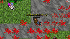 Albert Luque on screen