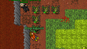 Hopawinii on screen