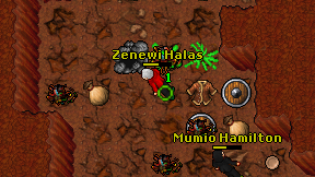 Zenewi Halas on screen