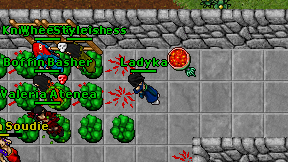 Ladyka on screen