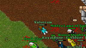 Valserom on screen