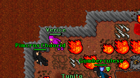 Verice on screen