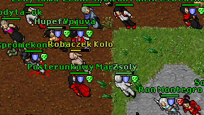 Robaczek Kolo on screen