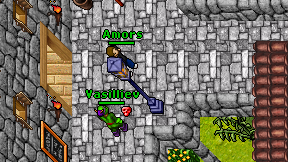 Amors on screen