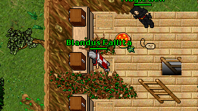 Blandus Fallita on screen