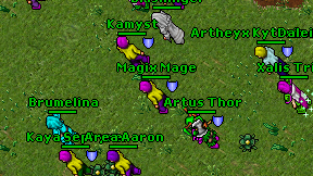 Magix Mage on screen
