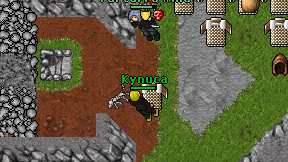 Kynuca on screen