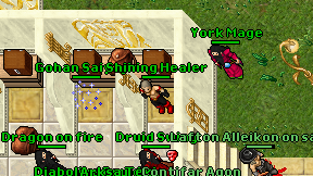 Shining Healer on screen