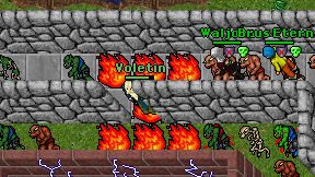 Voletin on screen