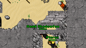 Hawk Shadowfox on screen