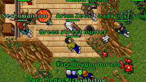 Arion Zeta on screen