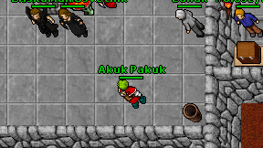 Akuk Pakuk on screen