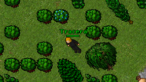 Tracera on screen