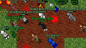 Dacoo palla on screen