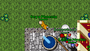 Seya Phoenix on screen