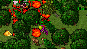 Canc'ro on screen