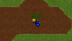 Zortoz on screen