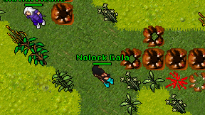 Nolock Gala on screen