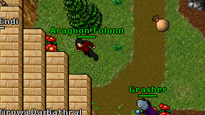 Aragoon Tulonn on screen