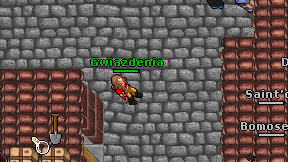 Gwiazdenia on screen