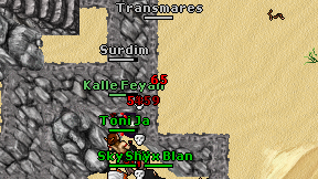 Transmares on screen