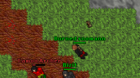 Burned snomann on screen