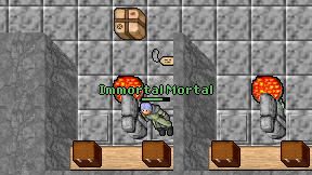 Immortal Mortal on screen