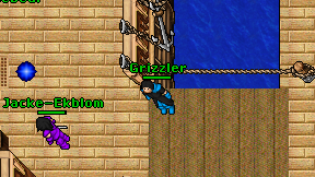 Grizzler on screen