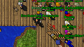 Enchanted Assassin on screen