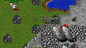 Gold Blitz on screen