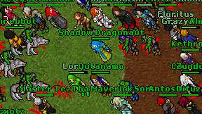 Shadow Dragonaut on screen