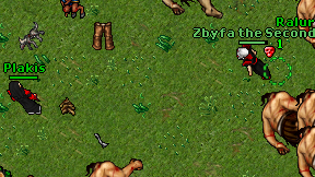 Plakis on screen