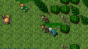 Mapobipo on screen