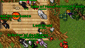 Ludi Druid on screen
