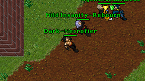 Dark-Necrofier on screen