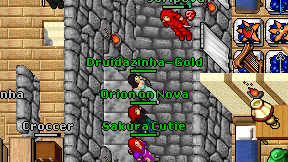 Druidazinha-Gold on screen