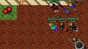 Dollis on screen