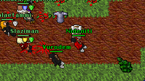 Nideniti on screen
