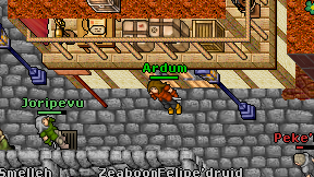 Ardum on screen